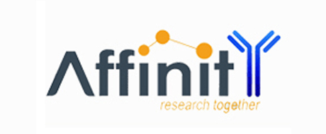 Affinity/艾菲