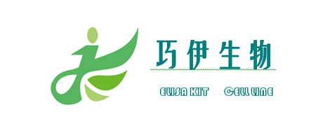 巧伊