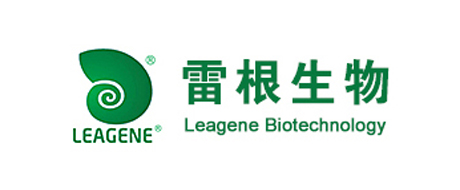 Leagene/雷根
