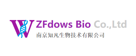 ZFdows知凡